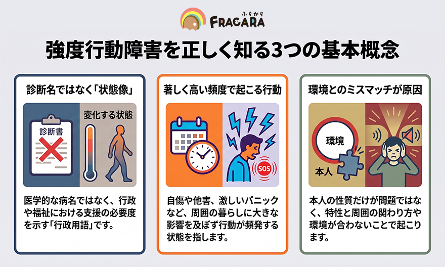 強度行動障害_3つの基本概念